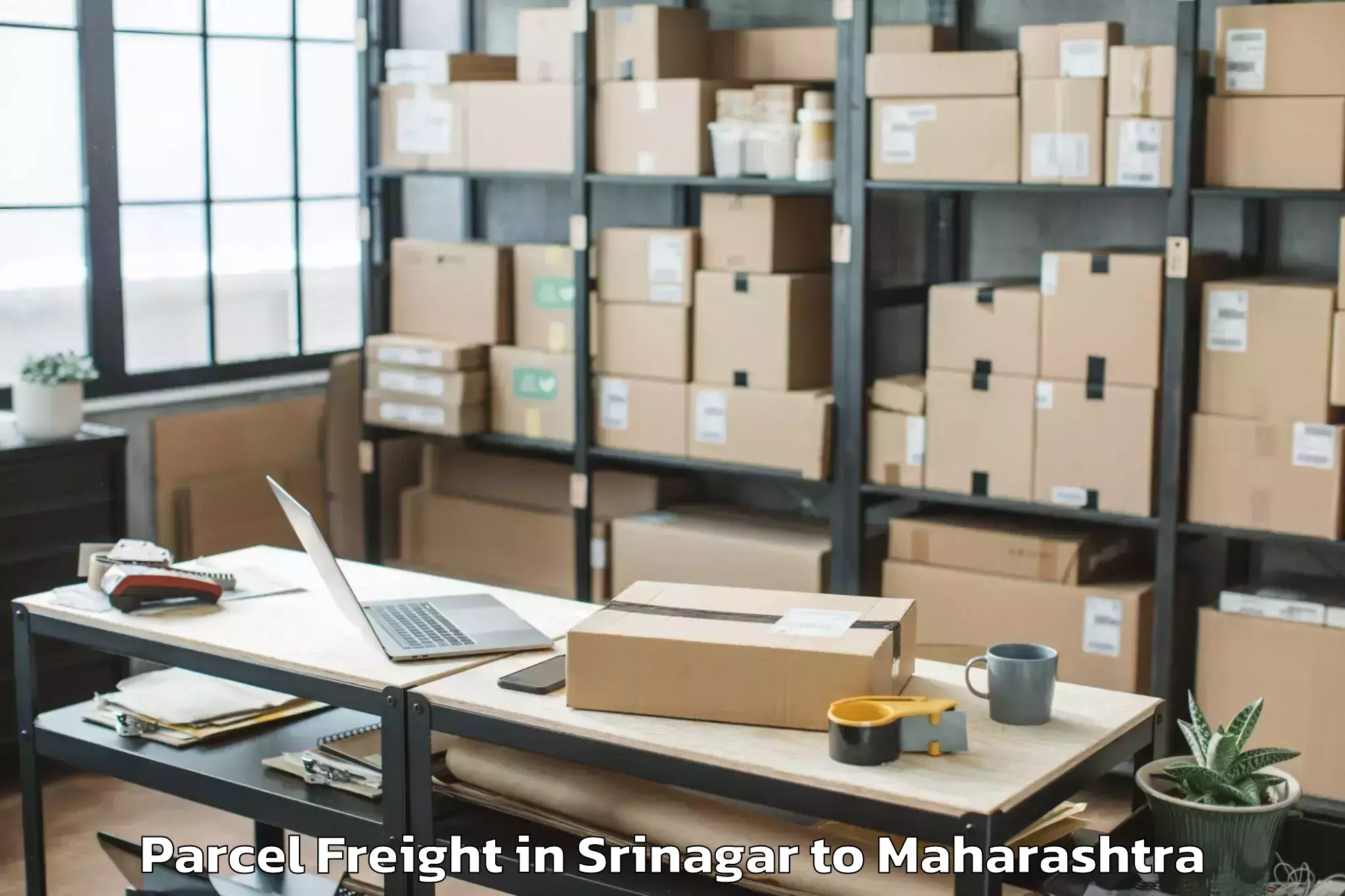 Efficient Srinagar to Malkapur Parcel Freight